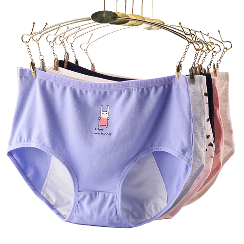 anti-leak underwear